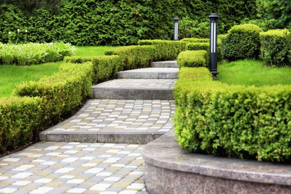 Backyard Remodeling in Orland Park