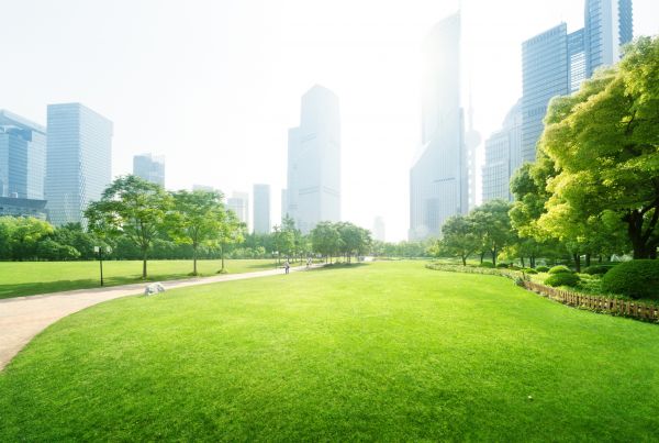 Commercial Landscape Maintenance in Orland Park