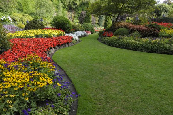 Landscaping Maintenance in Orland Park