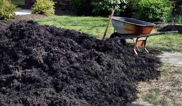 Black Mulch Delivery in Orland Park