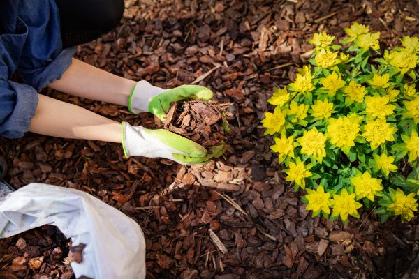 Garden Mulching in Orland Park