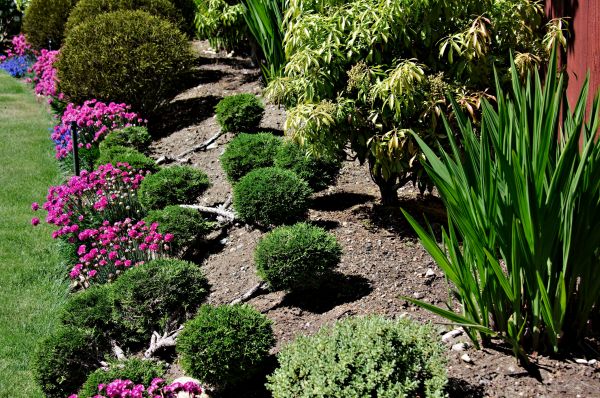 Residential Gardening Service