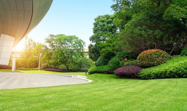 Business Landscape Design in Orland Park