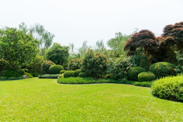 Tree Landscaping in Orland Park