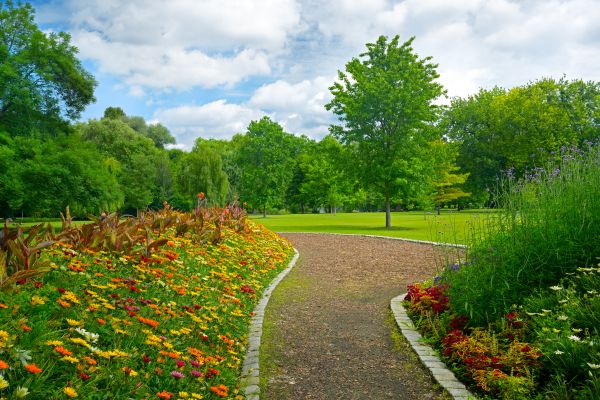Park Landscaping in Orland Park