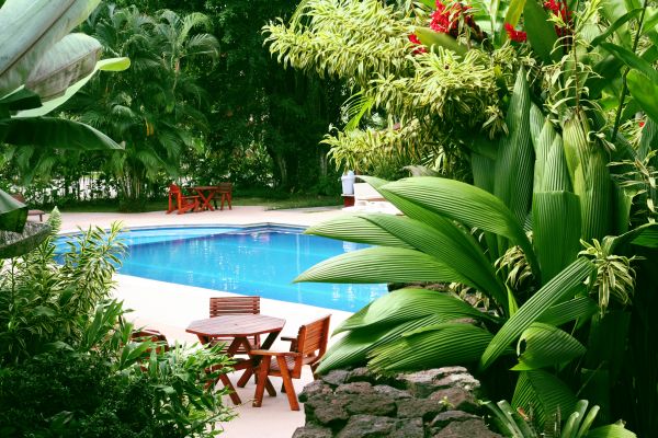 Pool Area Landscaping in Orland Park