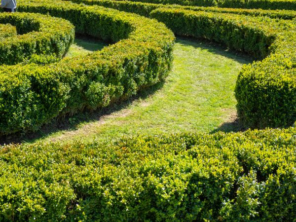 Bush Landscaping in Orland Park