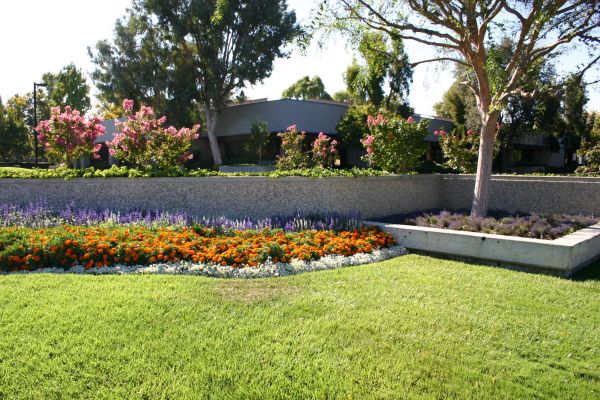 Commercial Landscape Service in Orland Park