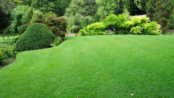 Commercial Landscape Design in Orland Park