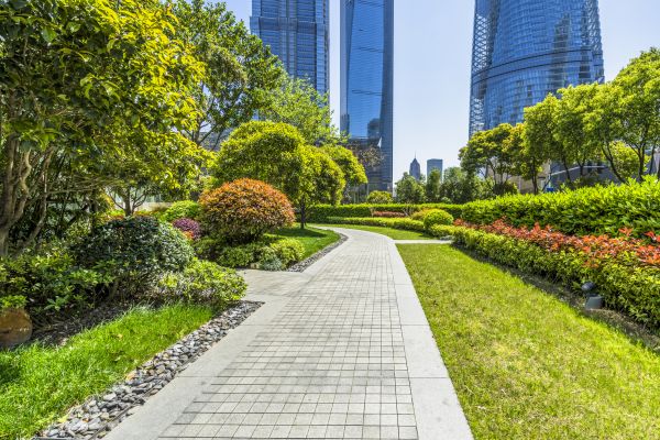 Commercial Landscaping in Orland Park