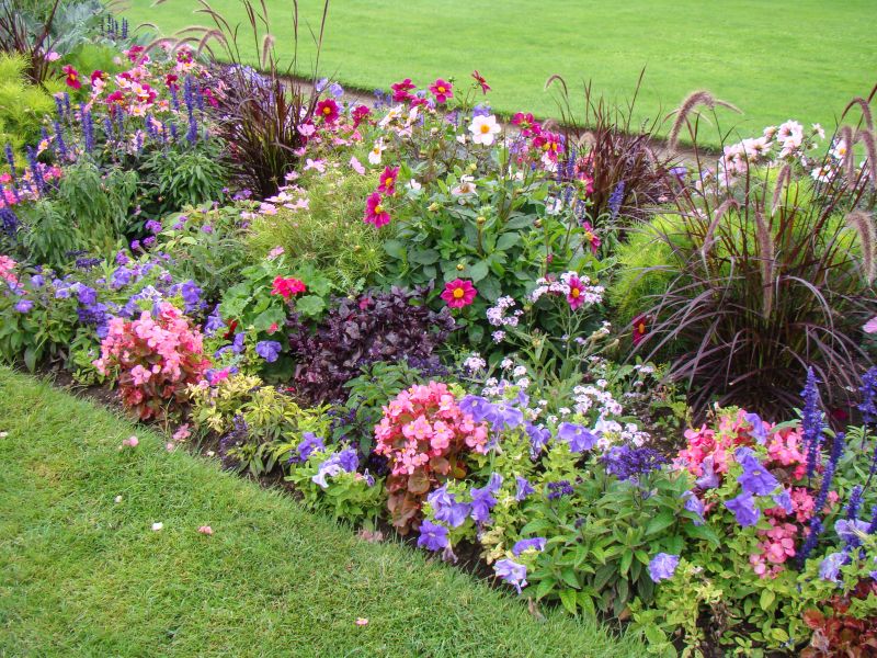 Landscaping in Bloom