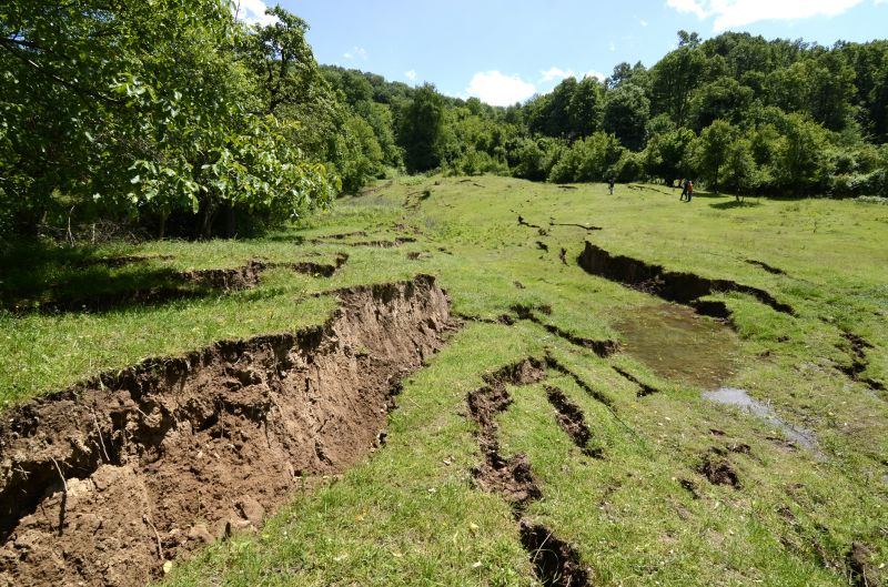 Soil Erosion Repair
