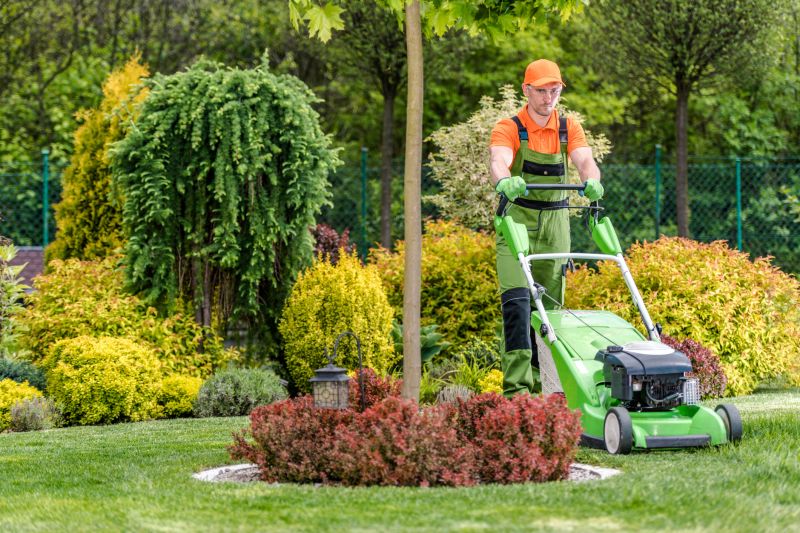 Lawn Care and Maintenance